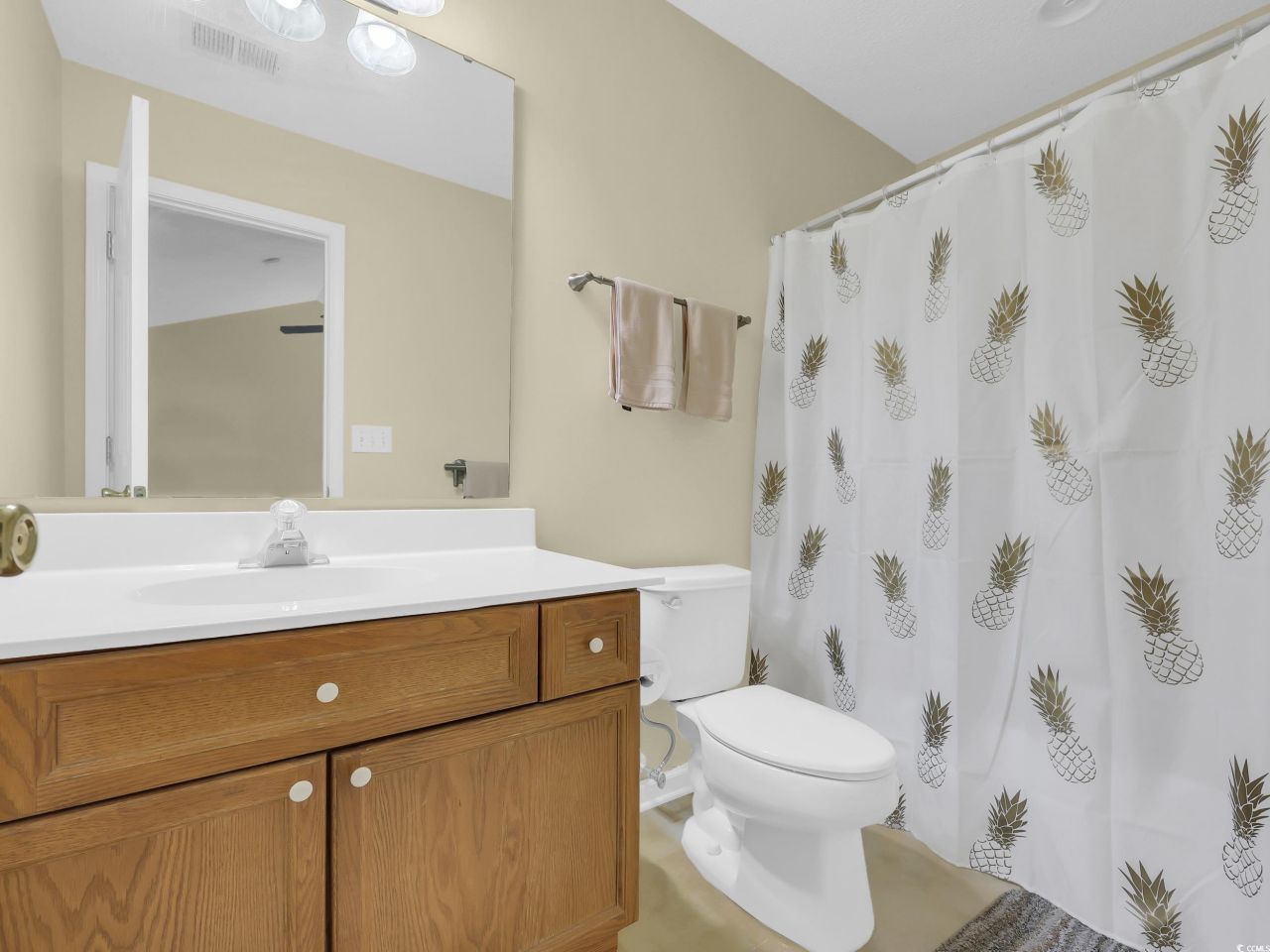 44 Pawleys Place Dr. Photo 19