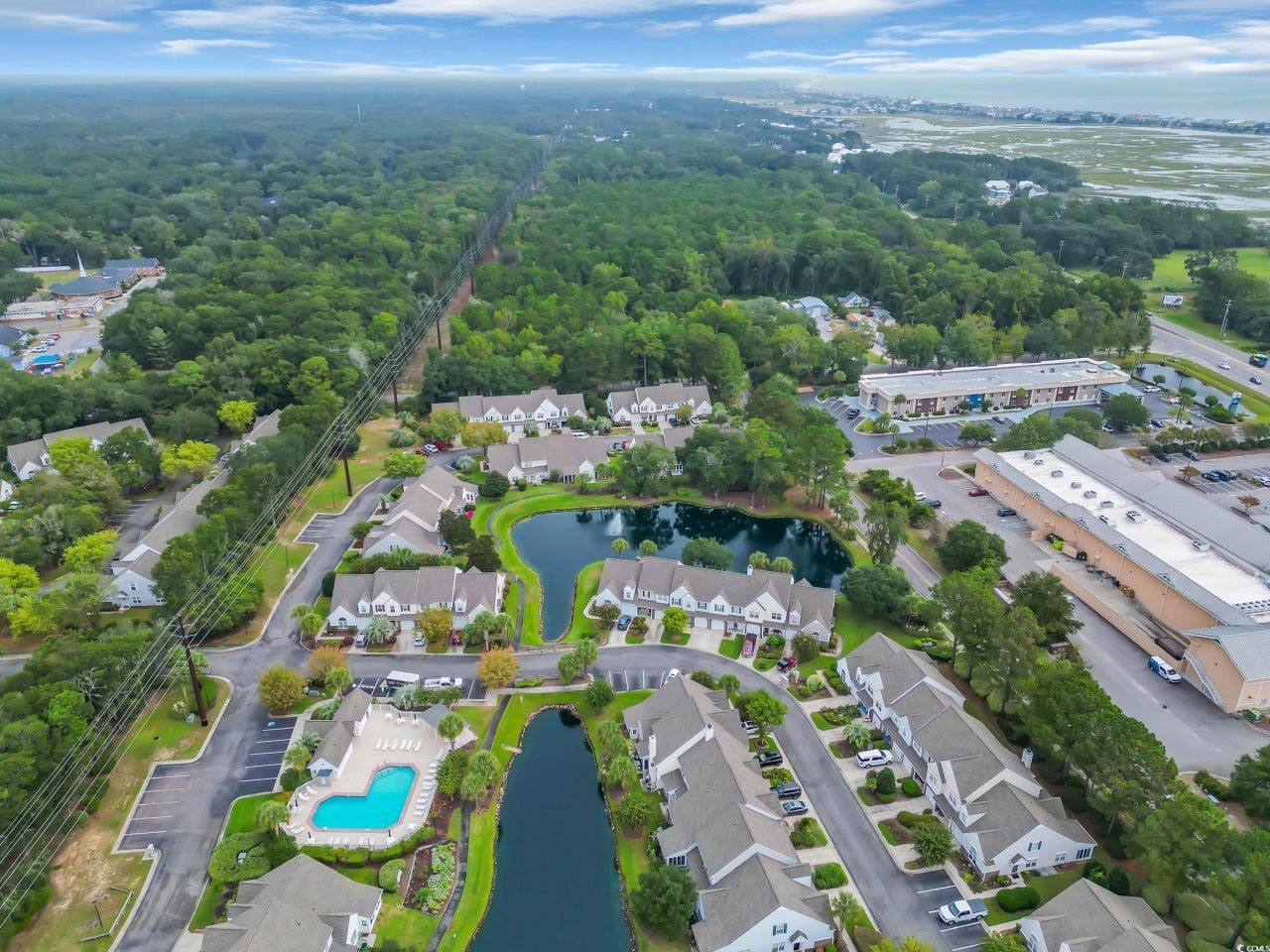 44 Pawleys Place Dr. Photo 25