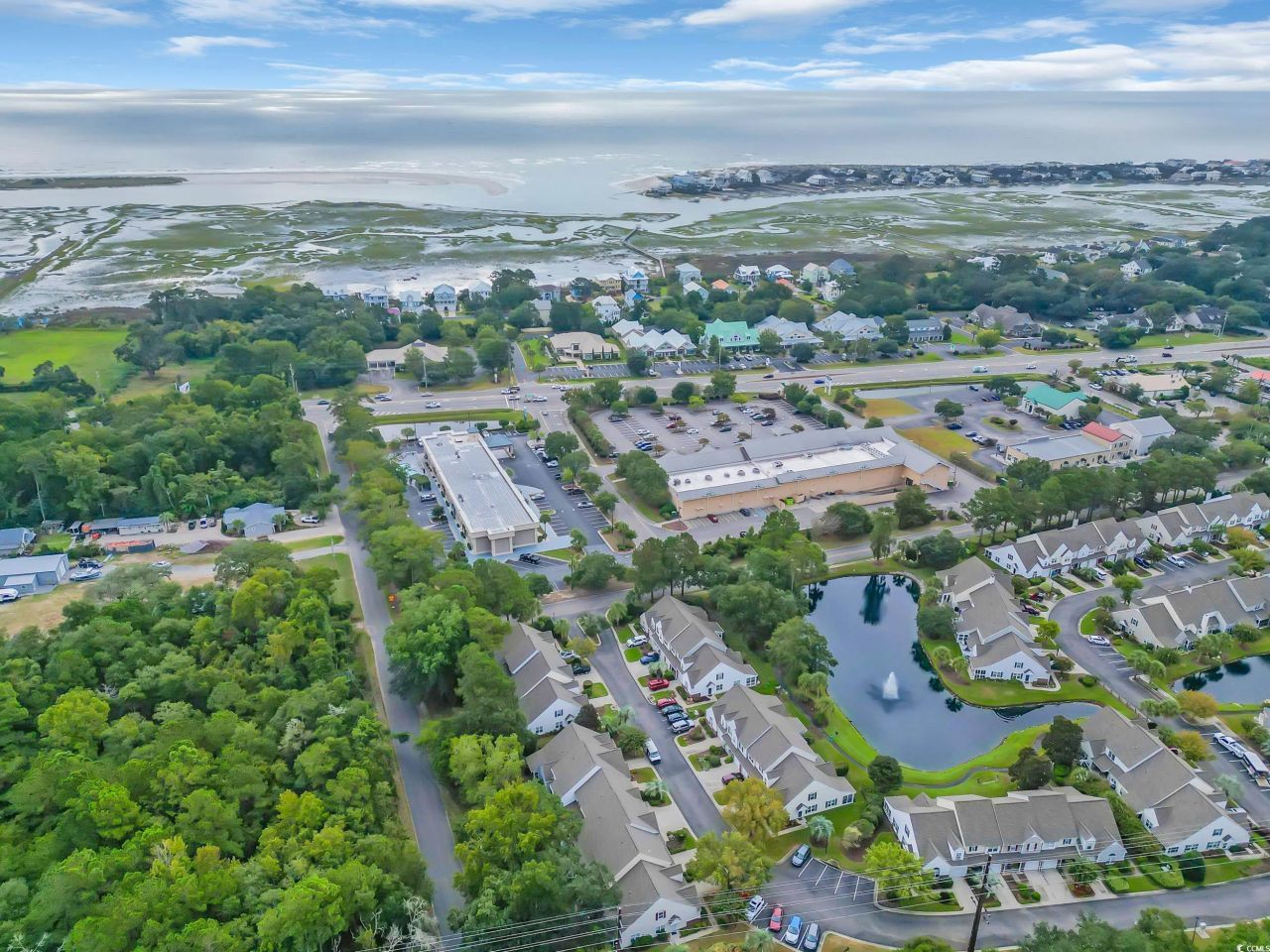 44 Pawleys Place Dr. Photo 26