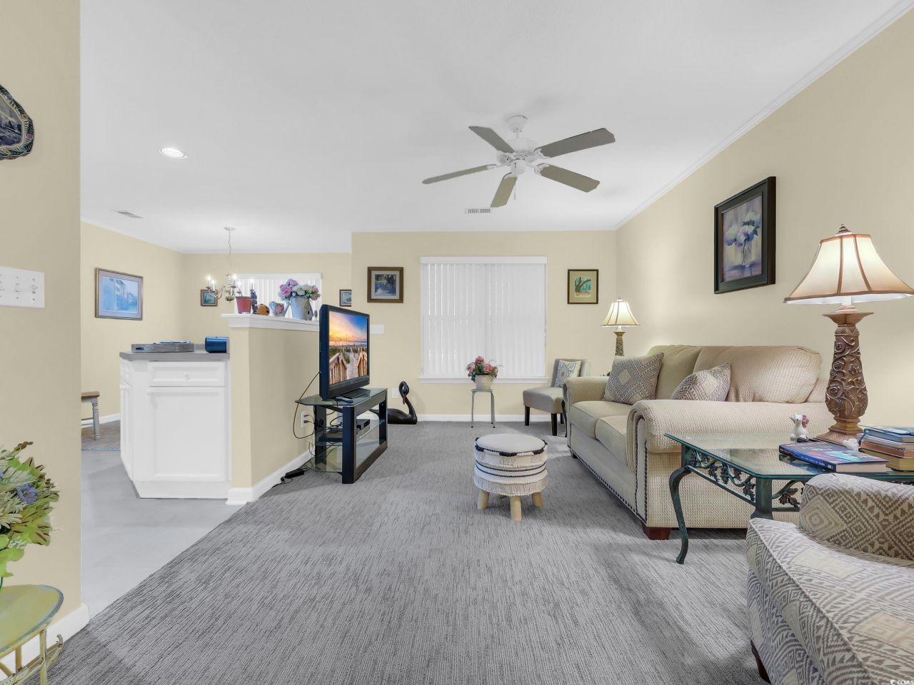 44 Pawleys Place Dr. Photo 8