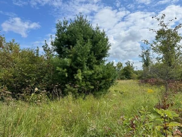 Parcel 1 VFW Rd, Cheboygan, MI 49721