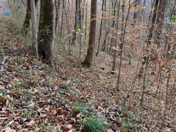 74 Cherokee Dr, Smithville, TN 37166