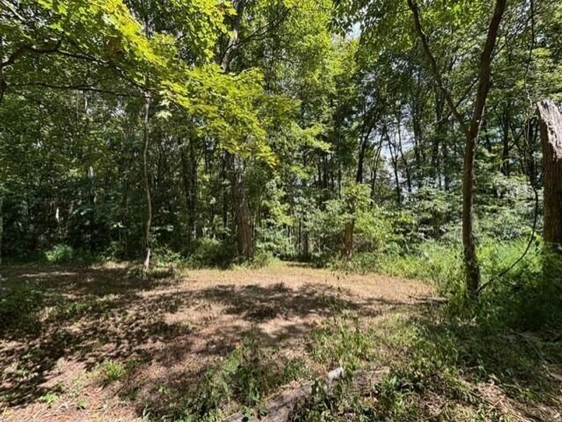 0 Us-35, Ray, OH 45672 Photo 3