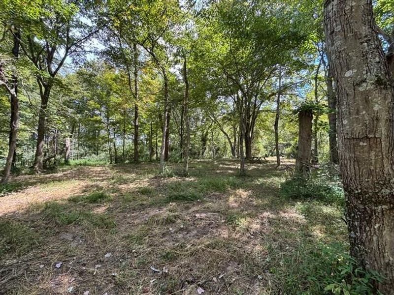 0 Us-35, Ray, OH 45672 Photo 4