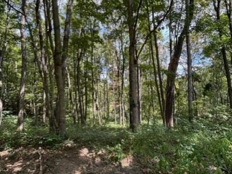 0 Us-35, Ray, OH 45672 Photo 9