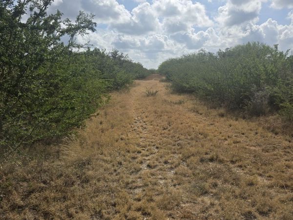 000 CR 170, Alice, TX 78332