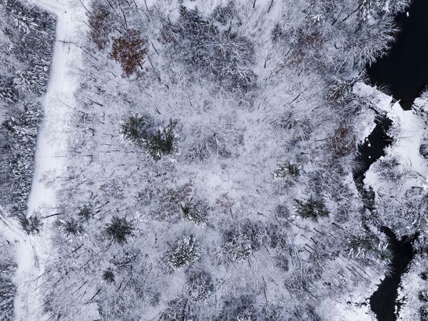 M035L11-14 Ring Bolt Lane, Surry, ME 04684