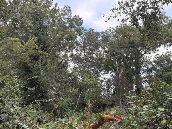 248 Buena Vista Drive, Chattanooga, TN 37404