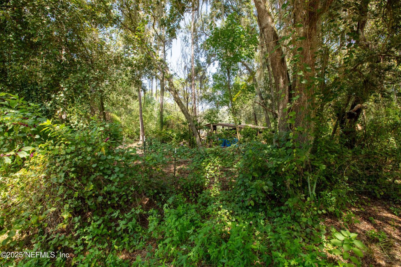 100 Little Star Road, Hawthorne, FL 32640 Photo