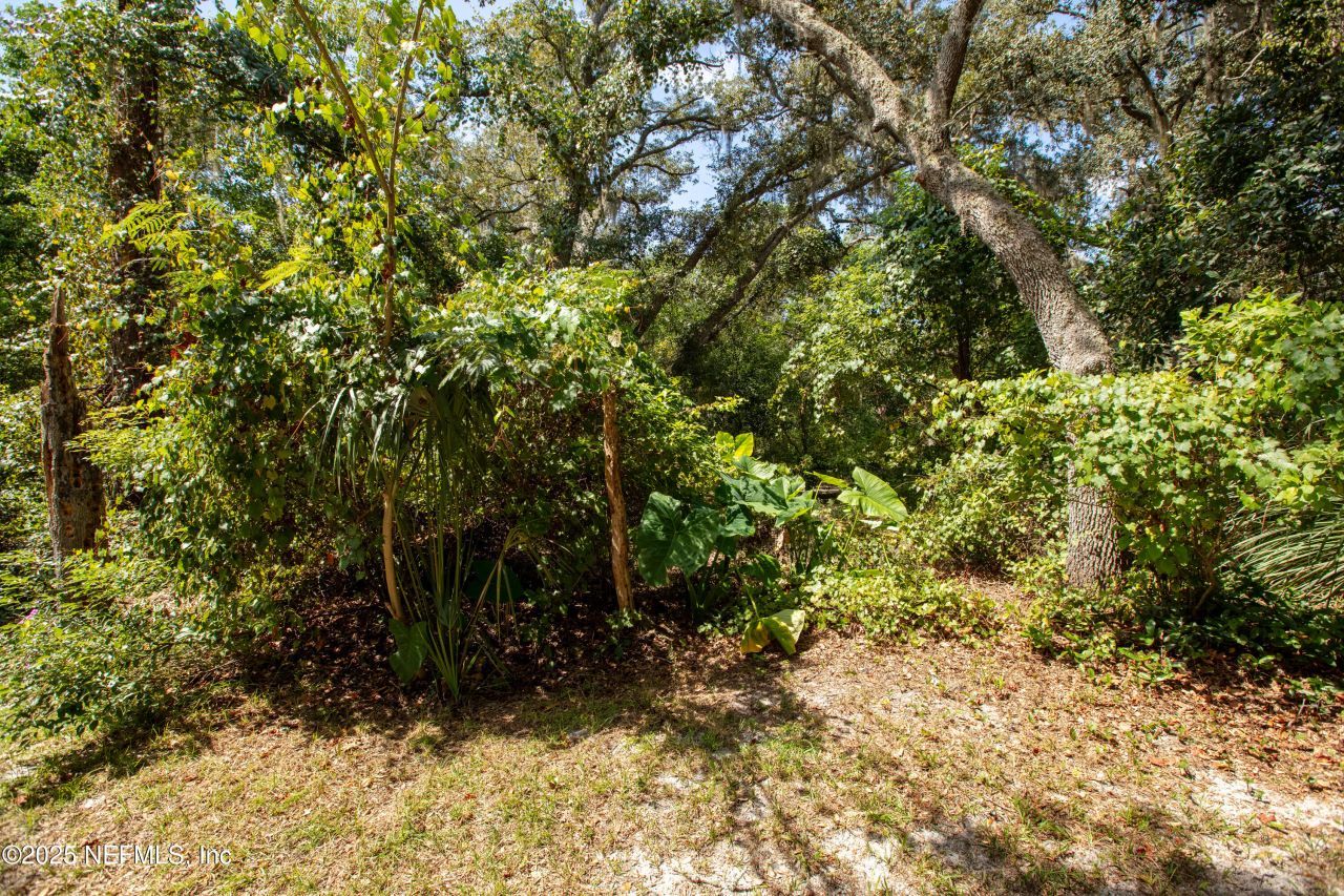 100 Little Star Road, Hawthorne, FL 32640 Photo