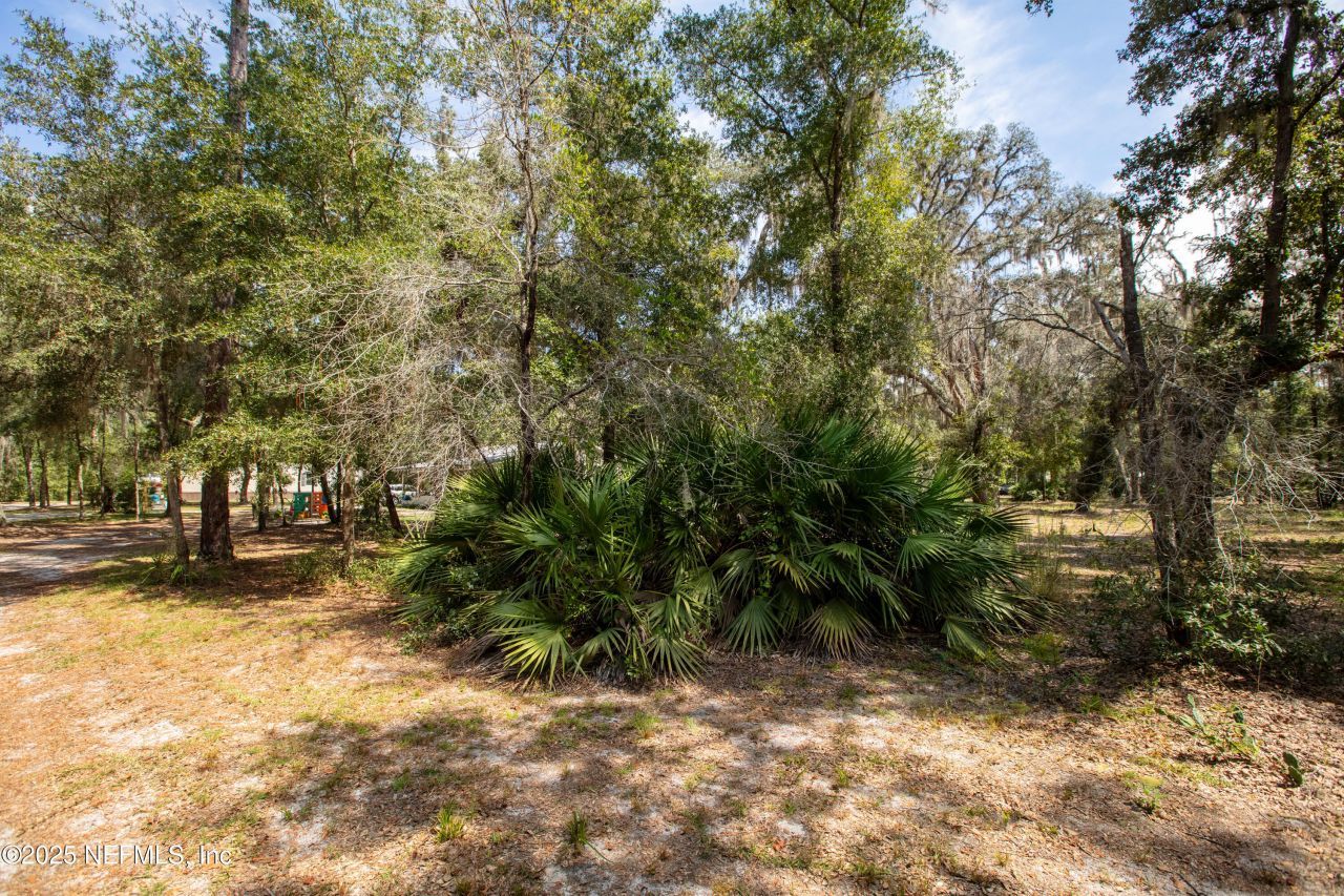 100 Little Star Road, Hawthorne, FL 32640 Photo