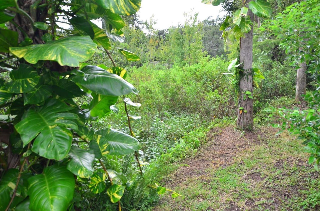 515 Twin Lakes Circle, Lakeland, FL 33815 Photo