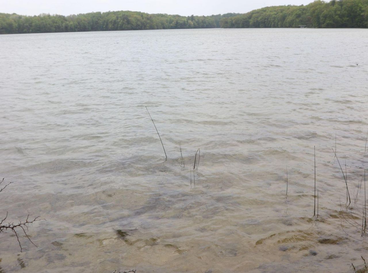 V/L Tranquil Wood Ln Bellaire, MI 49615