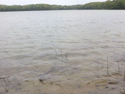 V/L Tranquil Wood Ln Bellaire, MI 49615