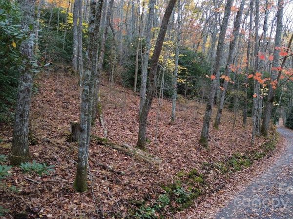 Lt 7 Buck Knob None, Cullowhee, NC 28723