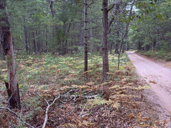 00 S Shady Grove Drive, Baldwin, MI 49304