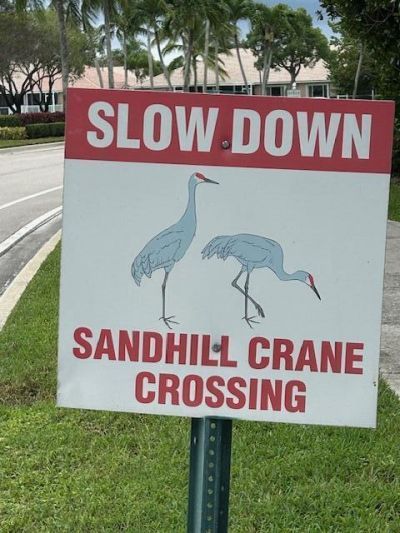 2585 San Andros, West Palm Beach, FL 33411 Photo