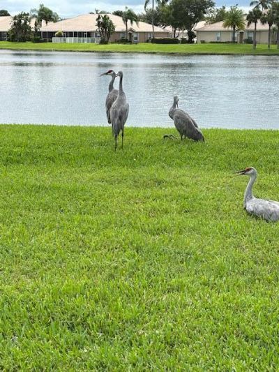 2585 San Andros, West Palm Beach, FL 33411 Photo