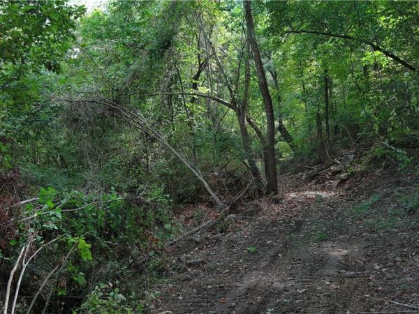 HC 33 Box 102, Compton, AR 72642