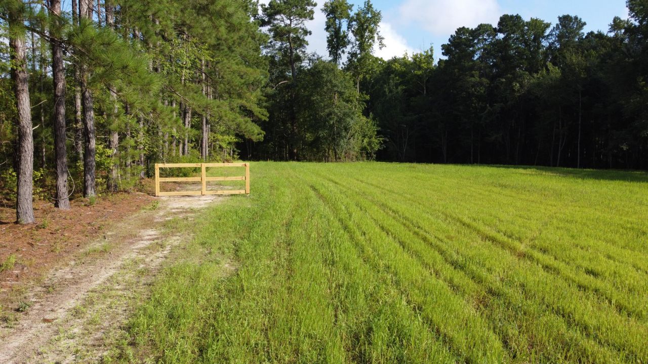 4 Grooms Road Photo 16