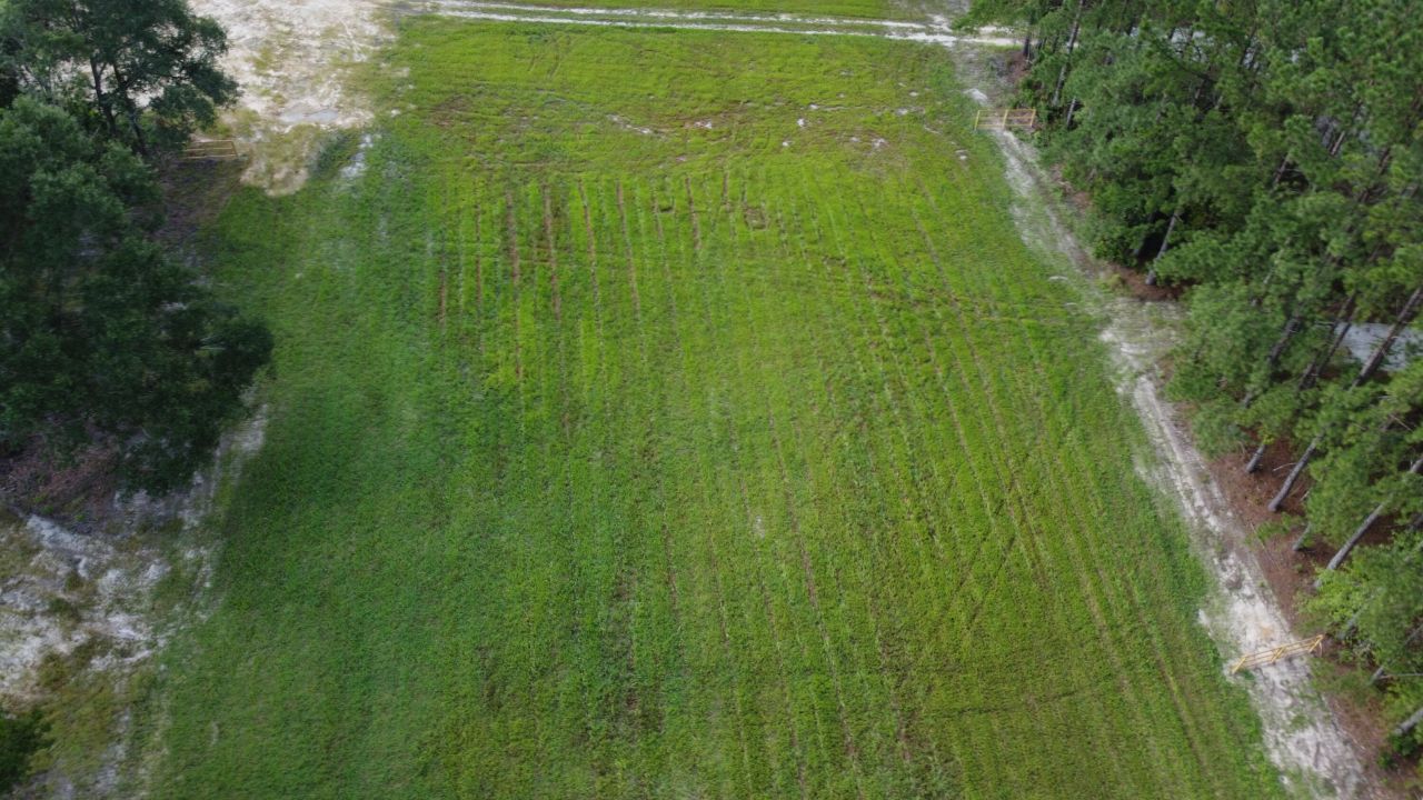 4 Grooms Road Photo 22