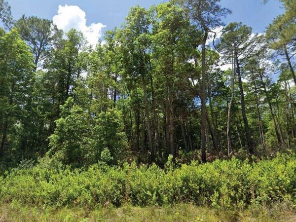 101 & 103 LONGHORN LANE, FLORAHOME, FL 32140