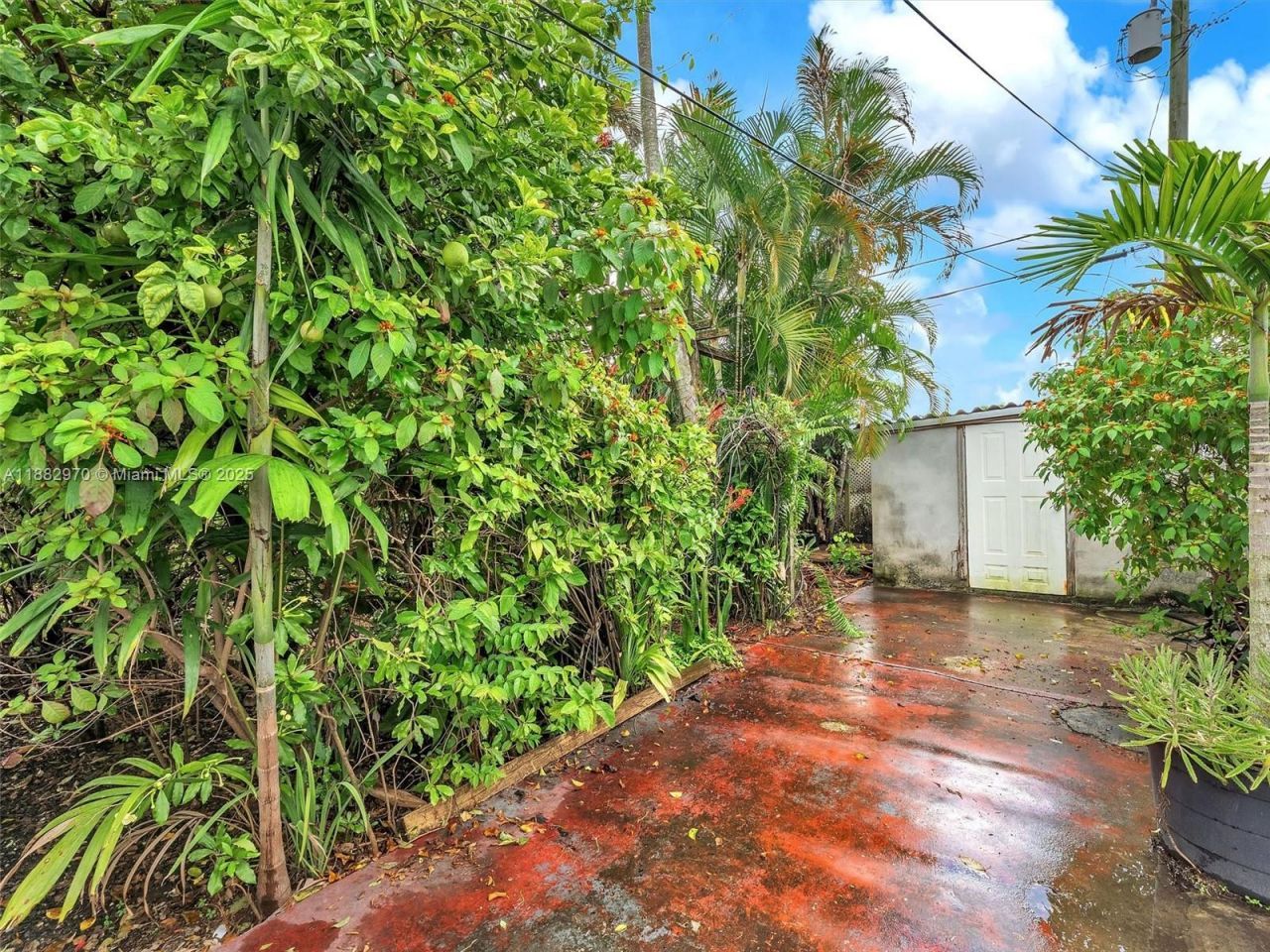 3680 NW 16th St, Miami, FL 33125 Photo