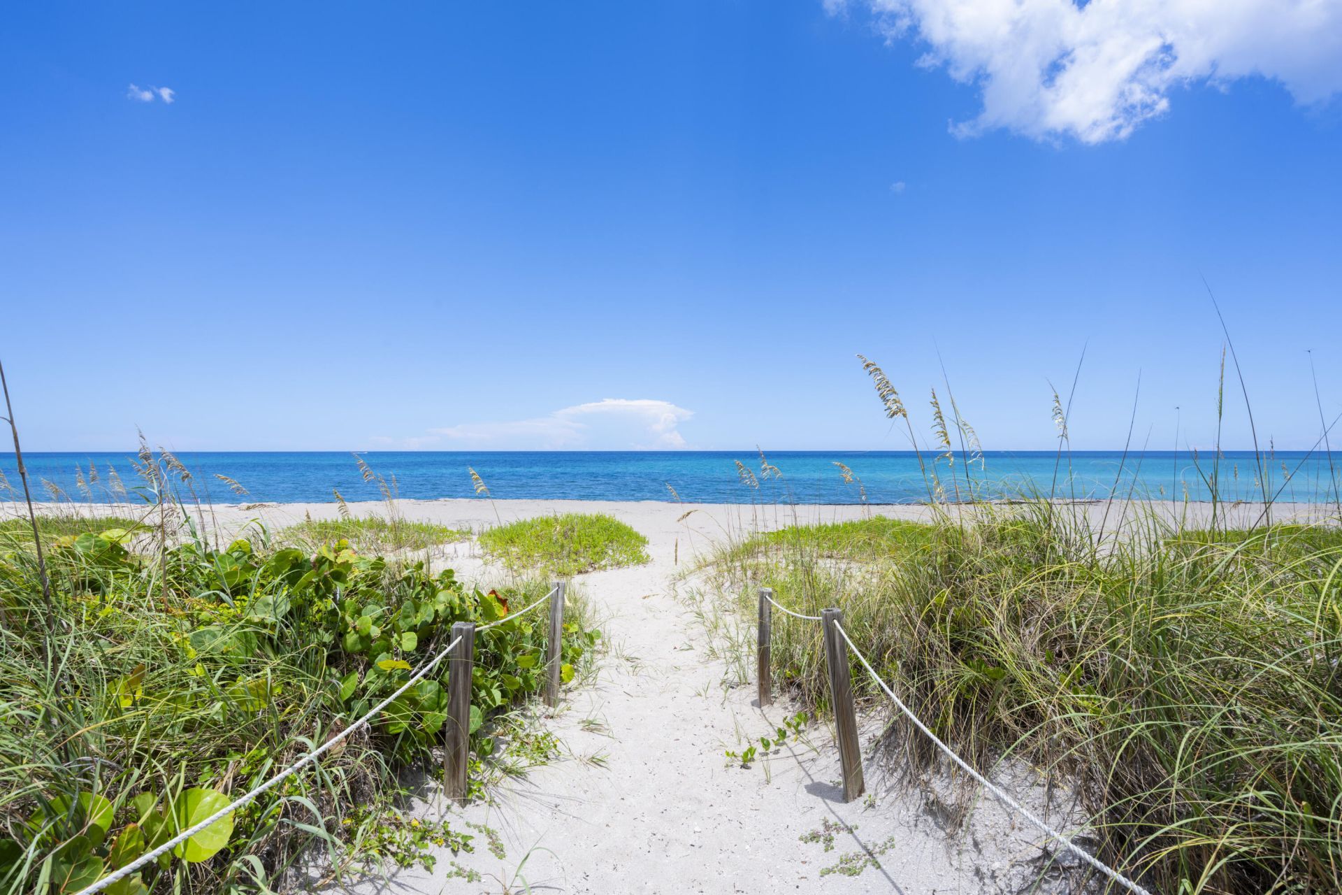 2760 S Ocean Boulevard, Unit 213, Palm Beach, FL 33480 Photo