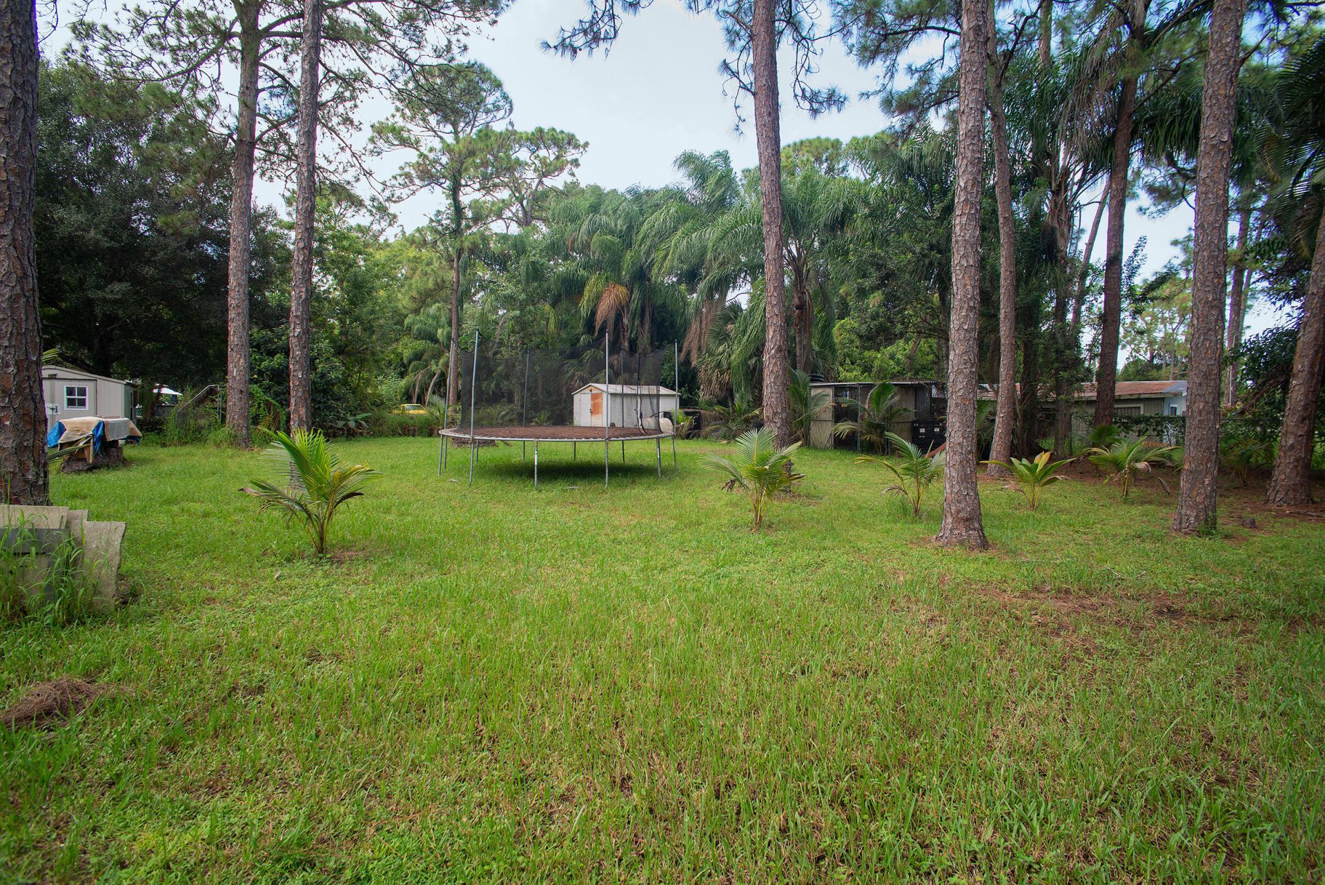 13835 41st Lane N, West Palm Beach, FL 33411 Photo