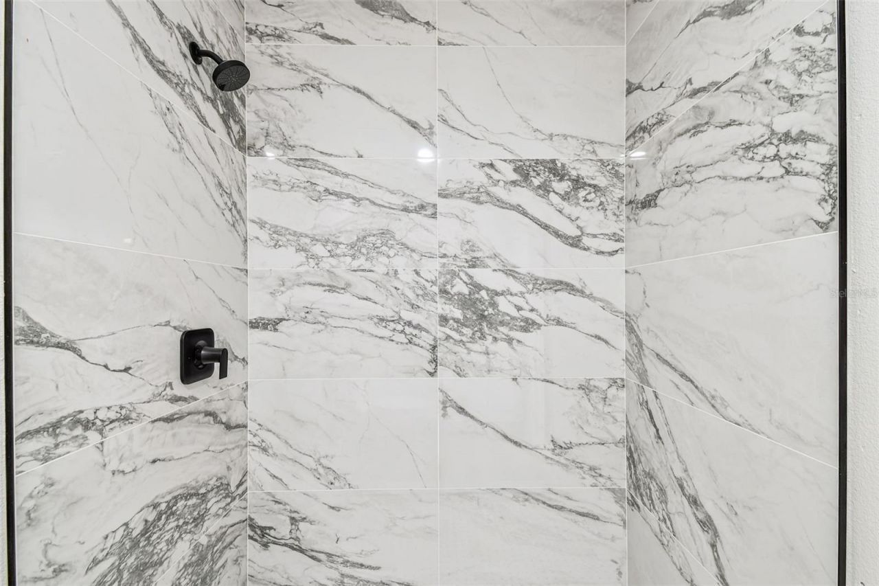 14810 N 30th Street, Lutz, FL 33559 Photo