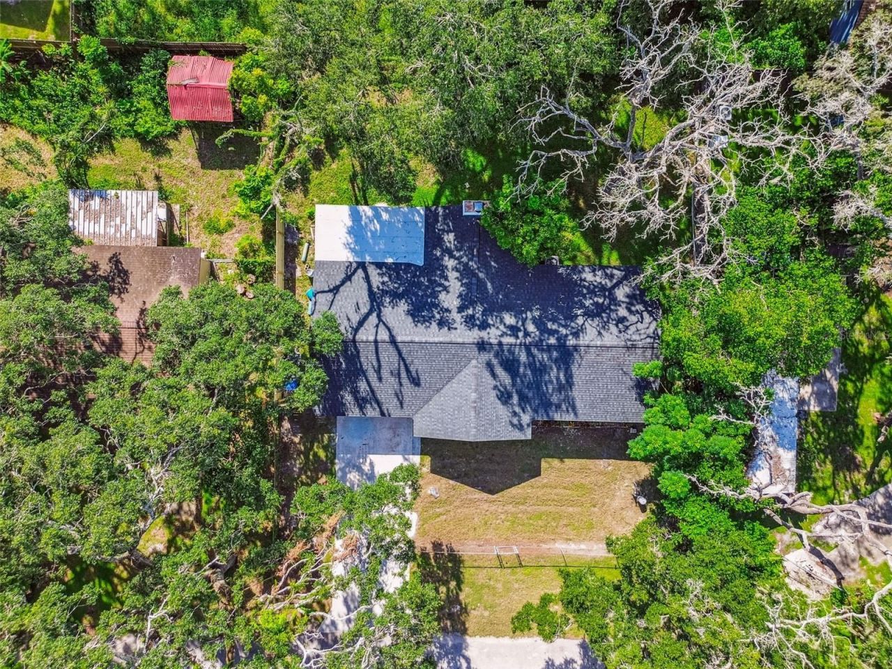 14810 N 30th Street, Lutz, FL 33559 Photo