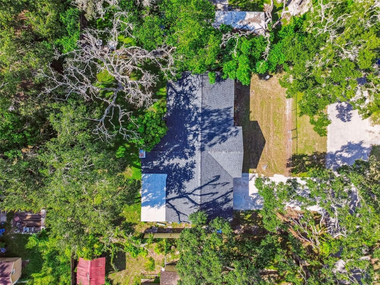 14810 N 30th Street, Lutz, FL 33559 Photo