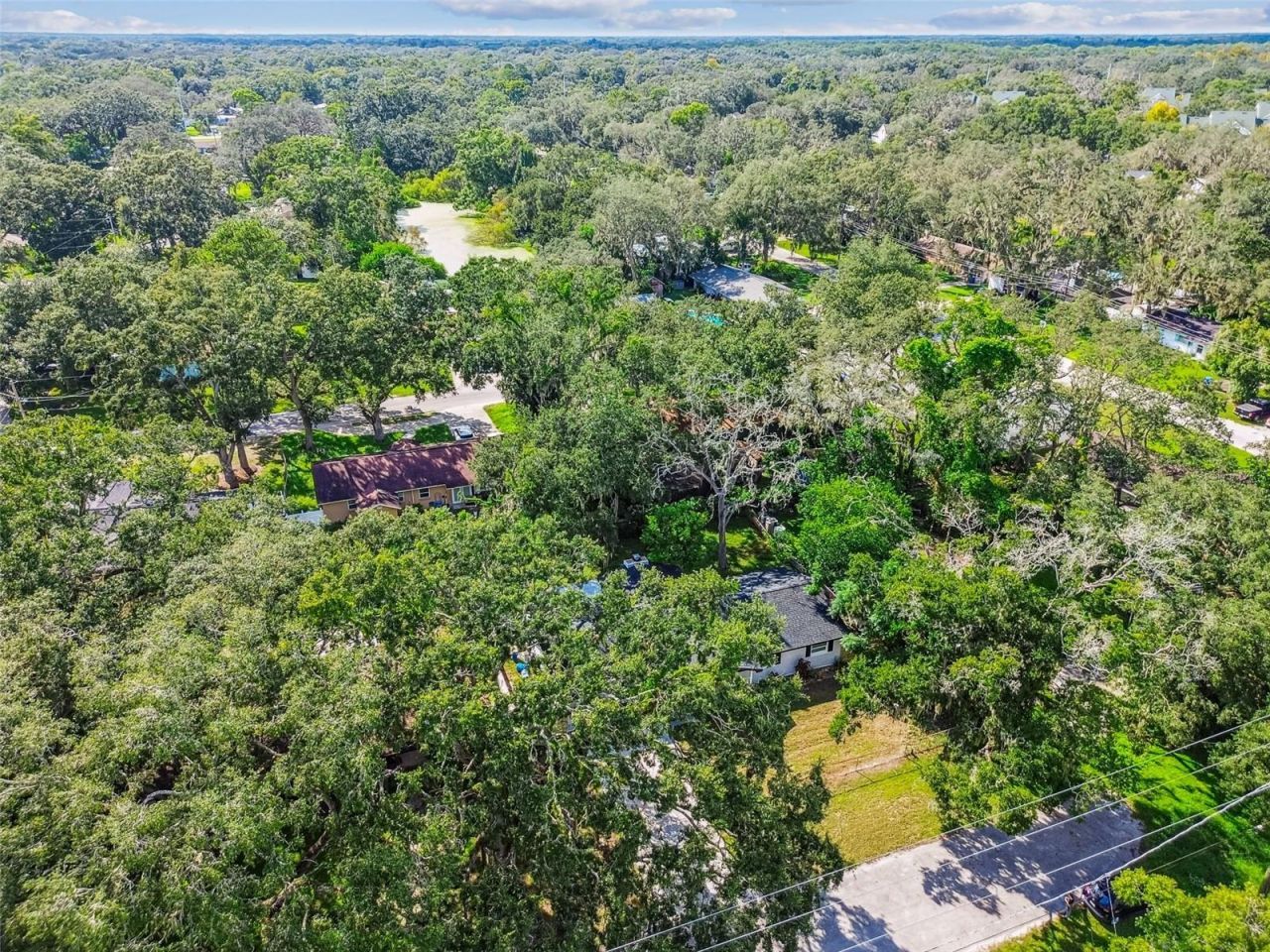 14810 N 30th Street, Lutz, FL 33559 Photo