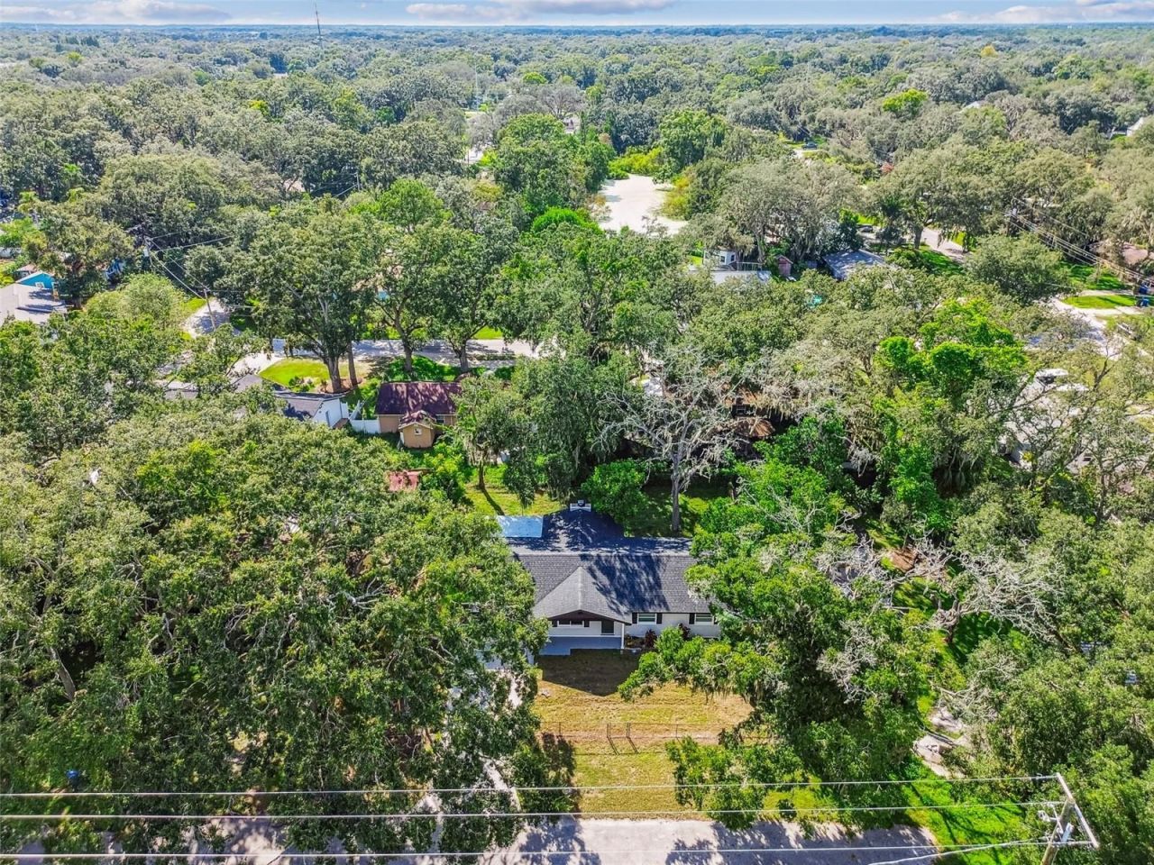 14810 N 30th Street, Lutz, FL 33559 Photo