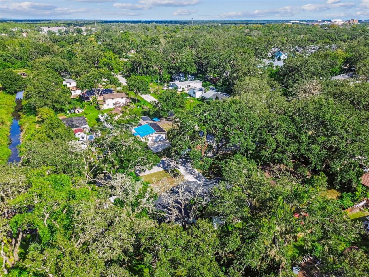 14810 N 30th Street, Lutz, FL 33559 Photo