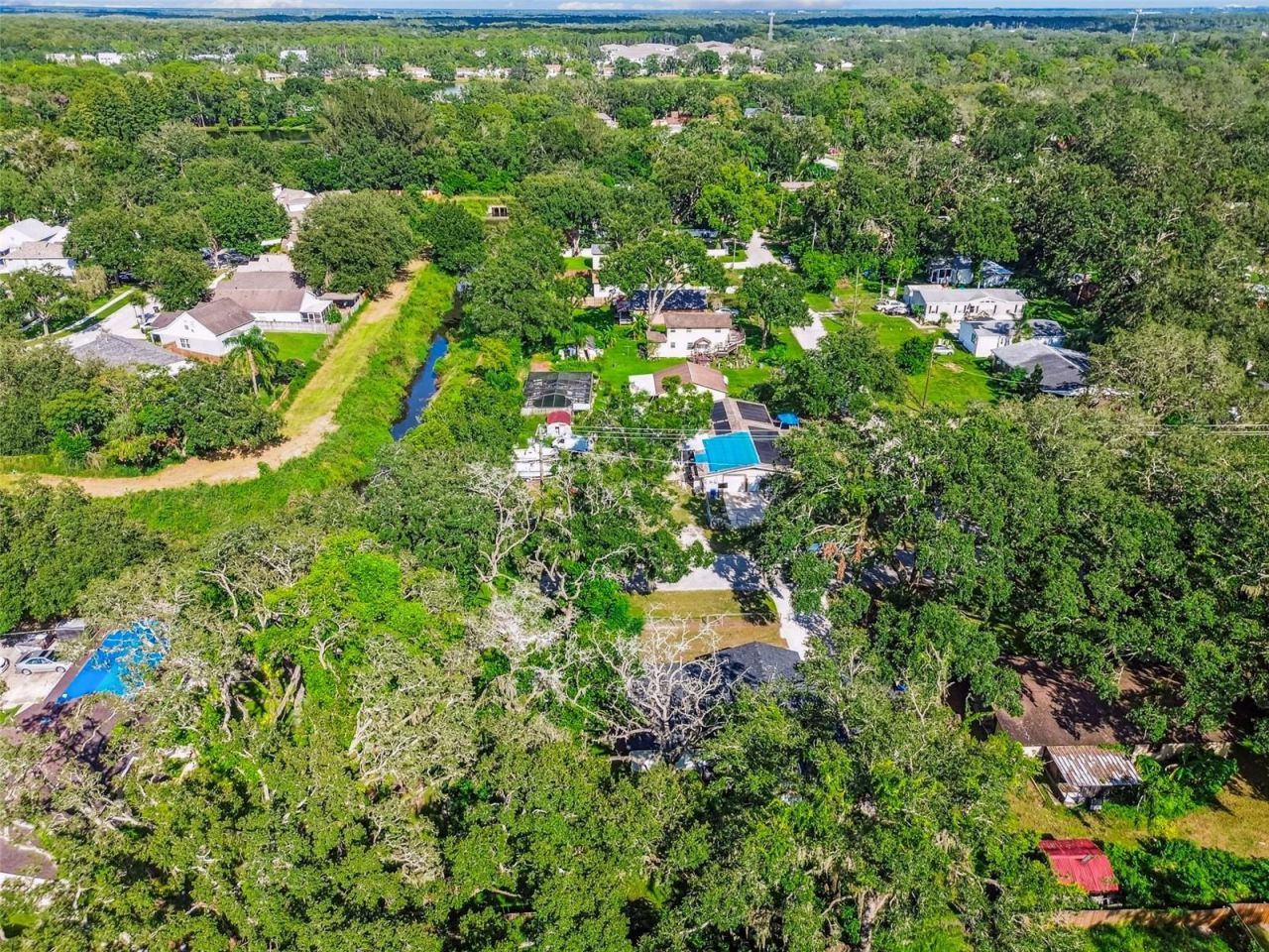 14810 N 30th Street, Lutz, FL 33559 Photo