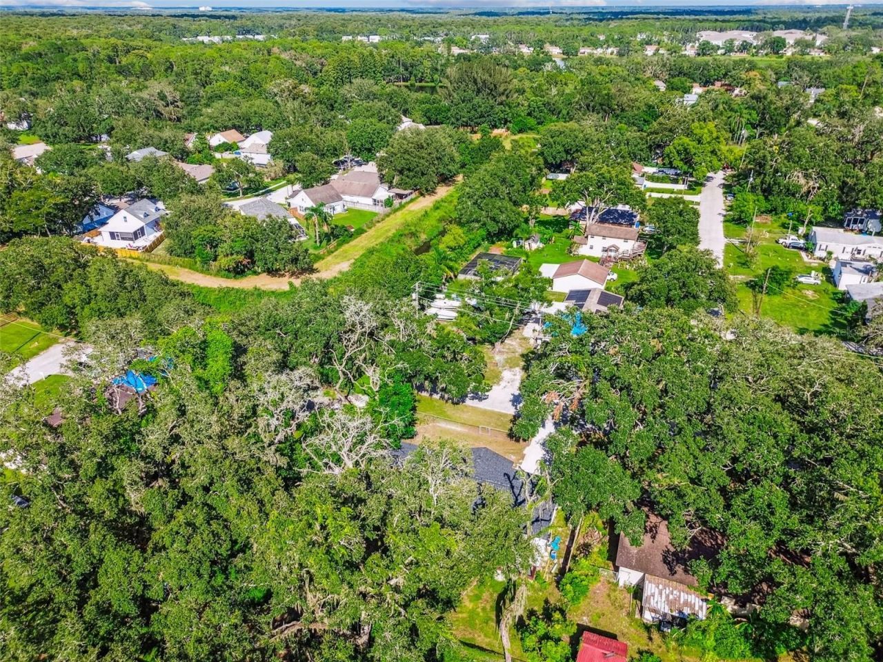 14810 N 30th Street, Lutz, FL 33559 Photo