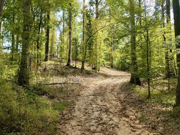 01 Abernathy Road, Flora, MS 39071