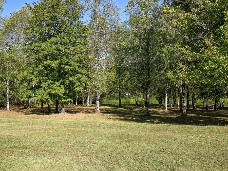 Property Image 66