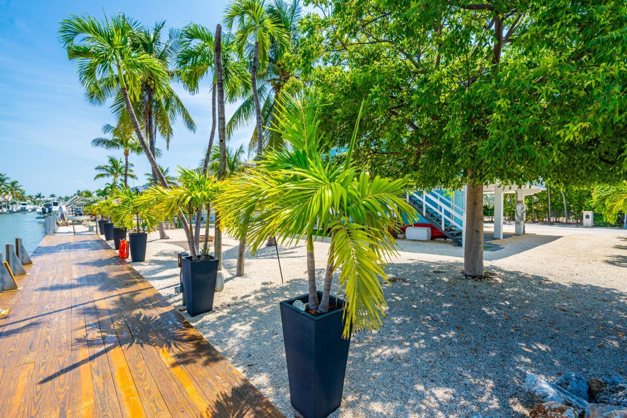 126 Columbus Drive, Islamorada, FL 33036 Photo