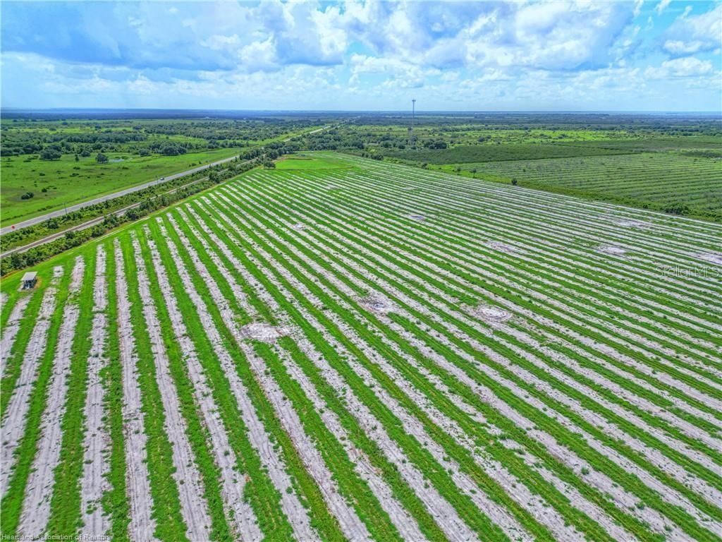 8495 County Road 621, Lorida, FL 33857 Photo