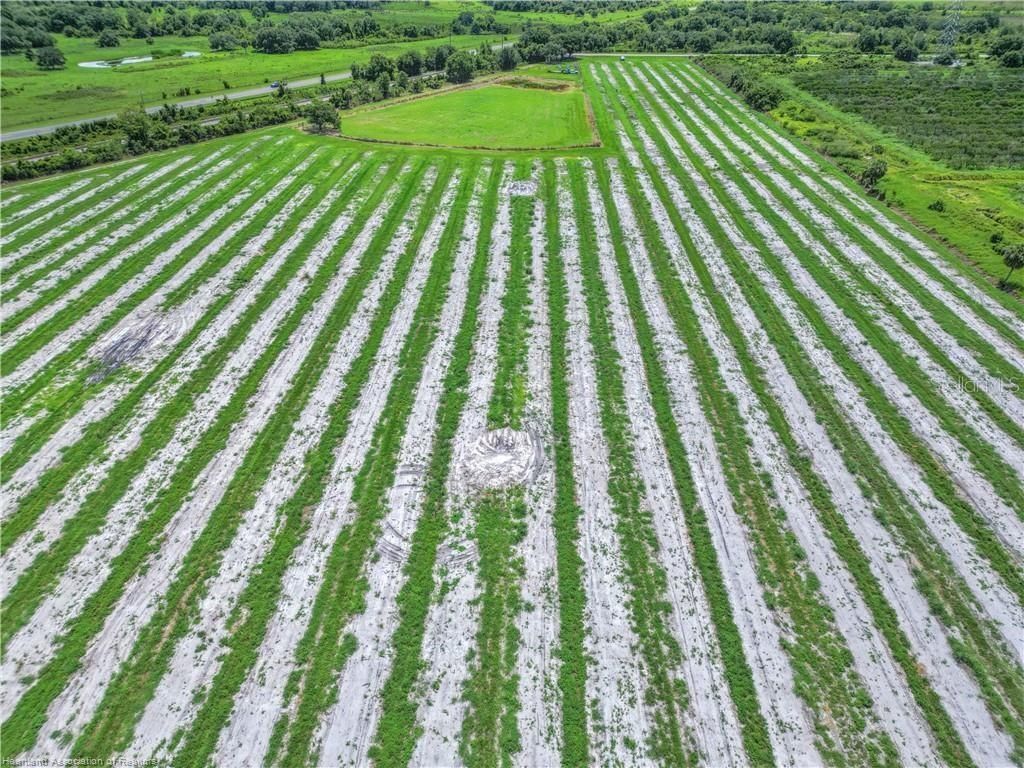 8495 County Road 621, Lorida, FL 33857 Photo