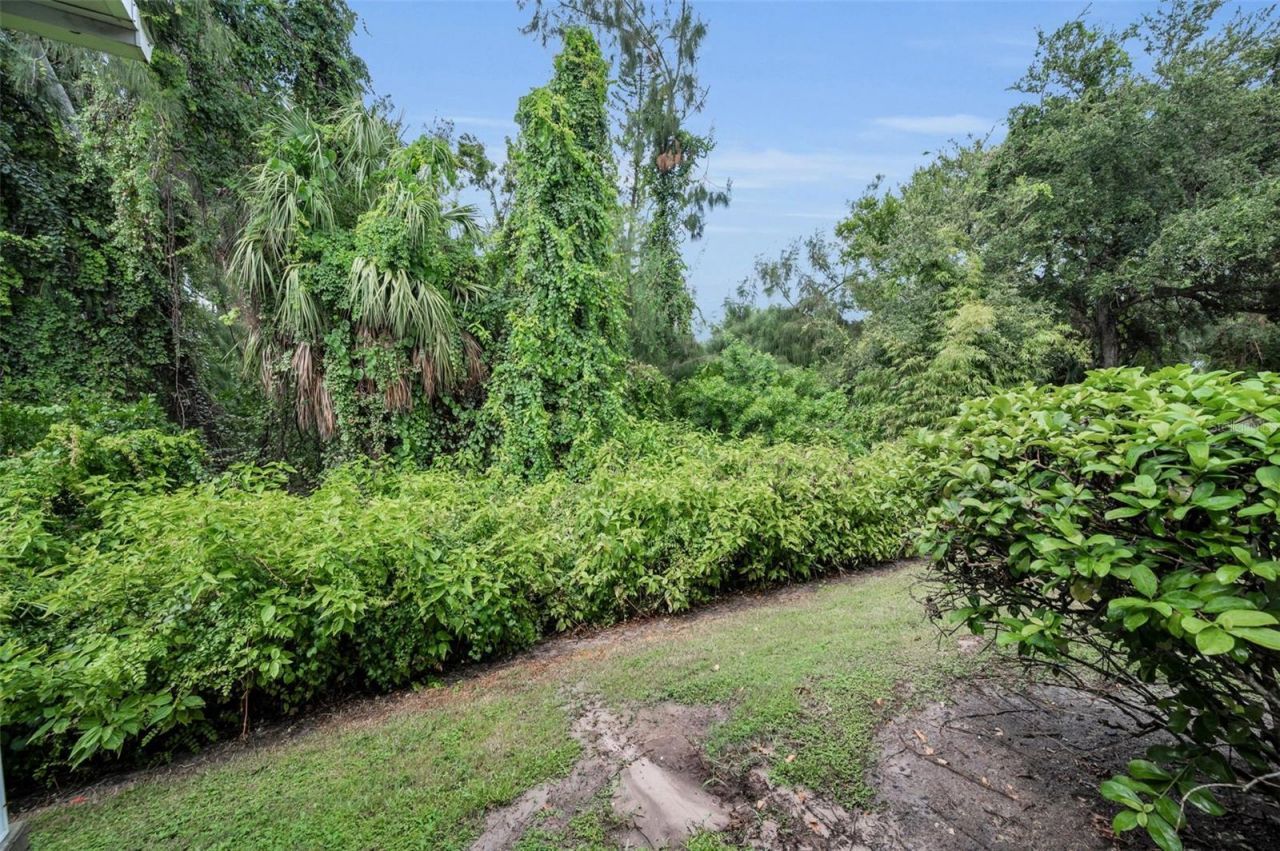 1033 Bella Vista Drive Ne, Saint Petersburg, FL 33702 Photo