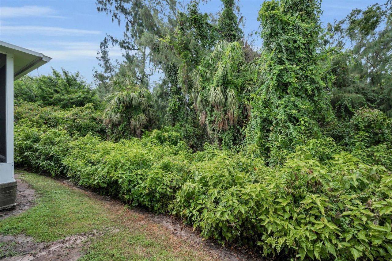 1033 Bella Vista Drive Ne, Saint Petersburg, FL 33702 Photo