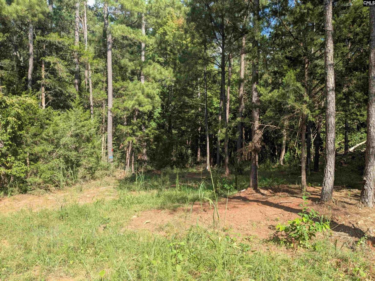 0 Lakeview Drive  Photo 10