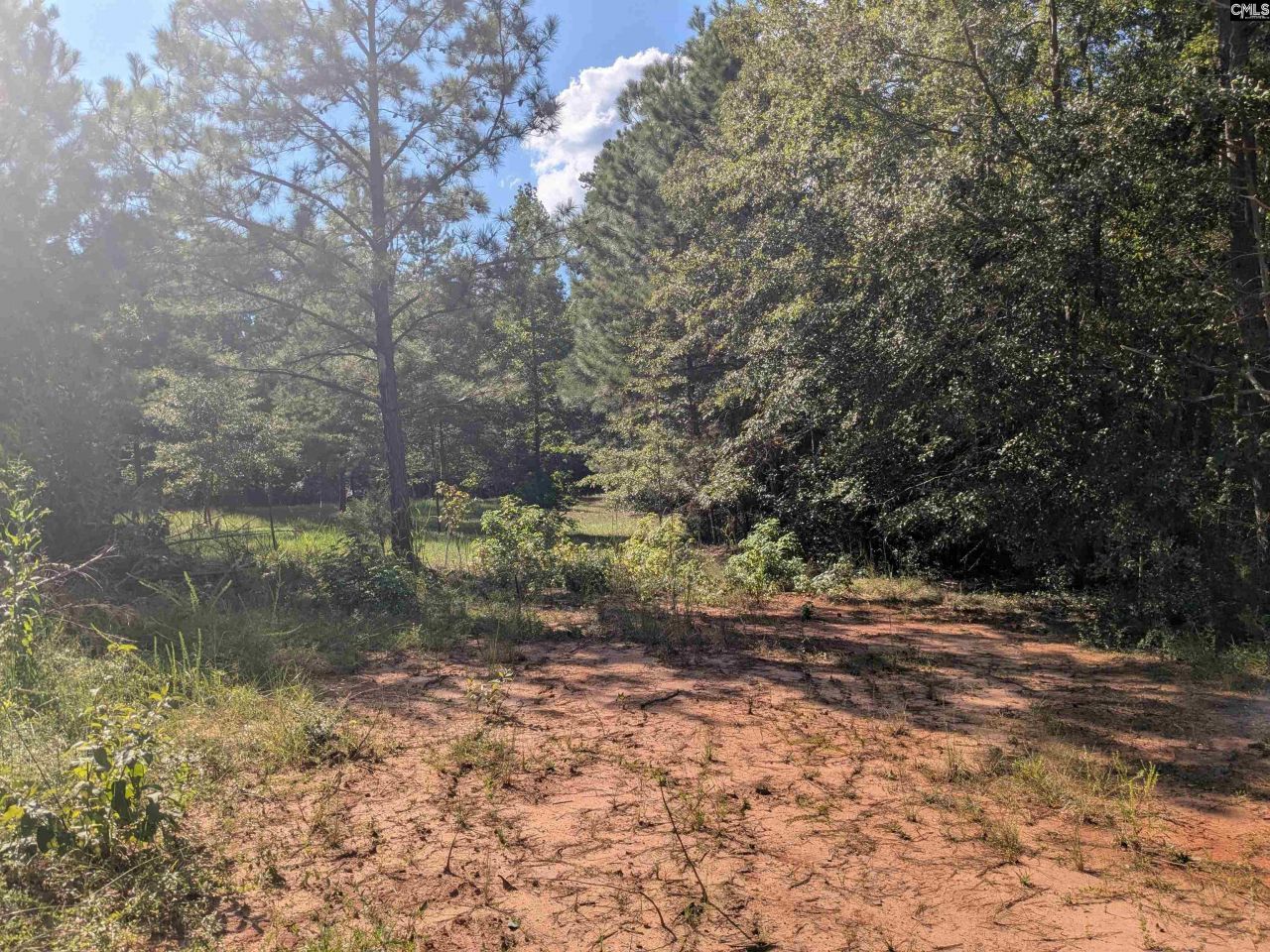 0 Lakeview Drive  Photo 11