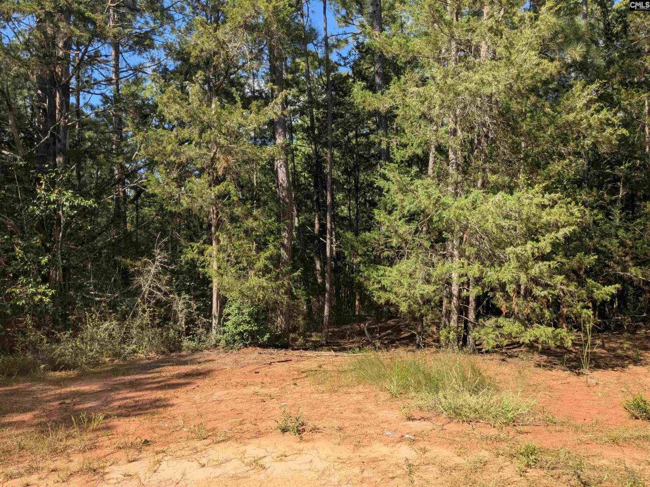 0 Lakeview Drive  Photo 12