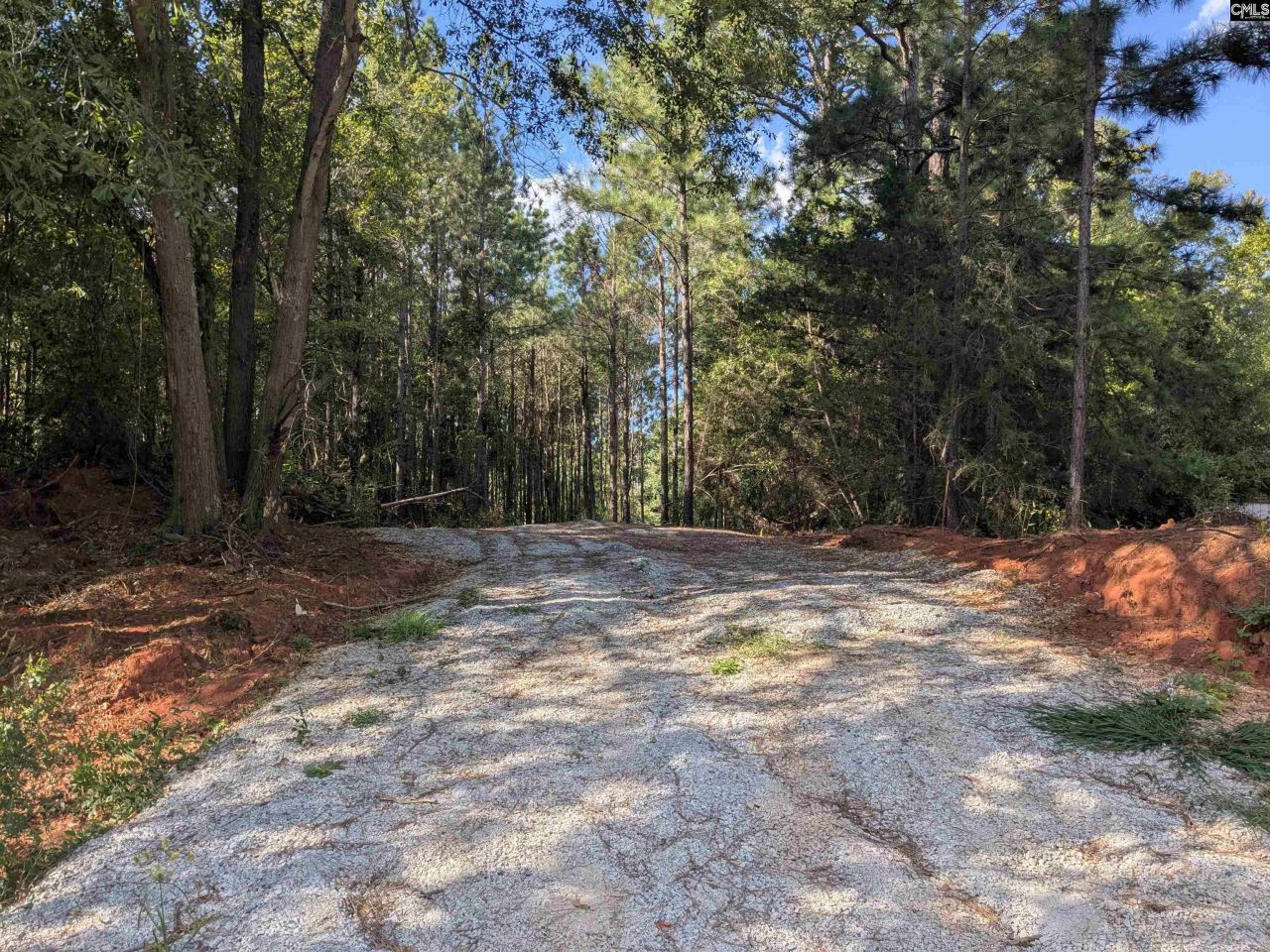 0 Lakeview Drive  Photo 14