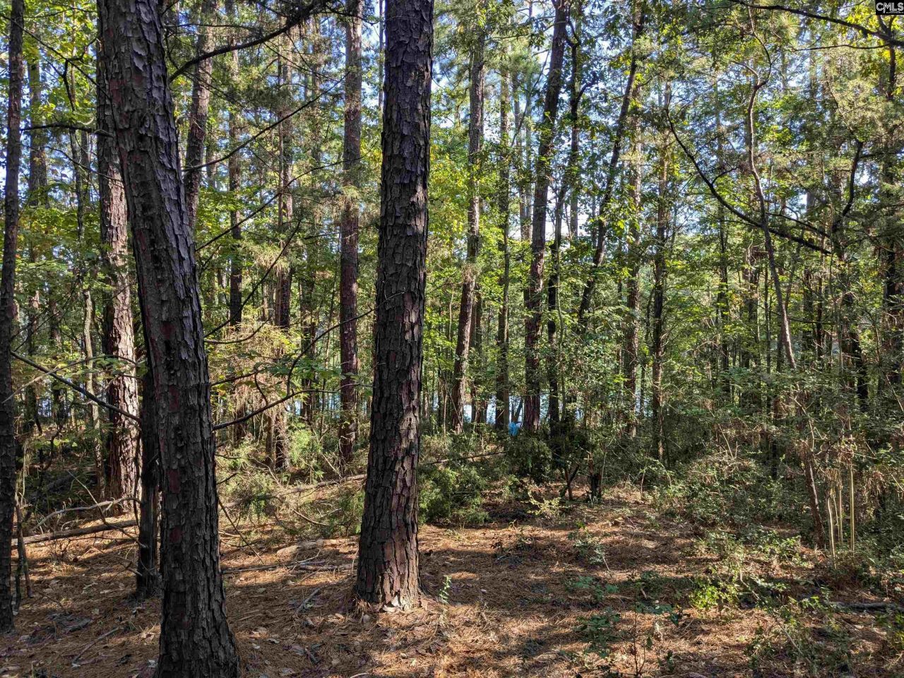 0 Lakeview Drive  Photo 15