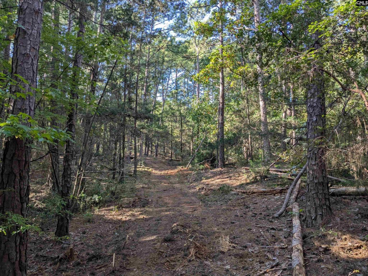 0 Lakeview Drive  Photo 16